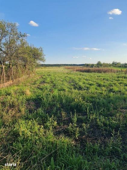 Teren intravilan Apateu 4100 mp - 7