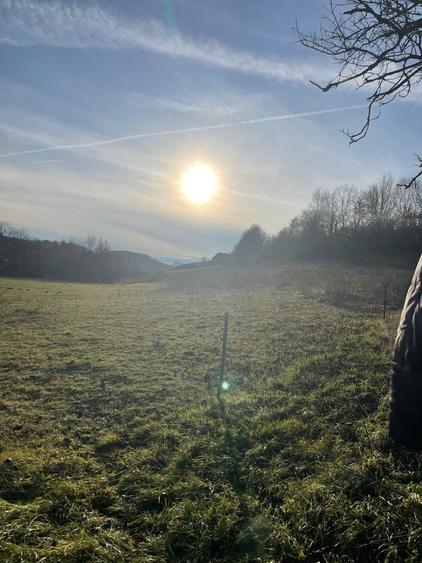 Vand teren 4200 mp ideal pt casa de vacanta in Varciorog - 1