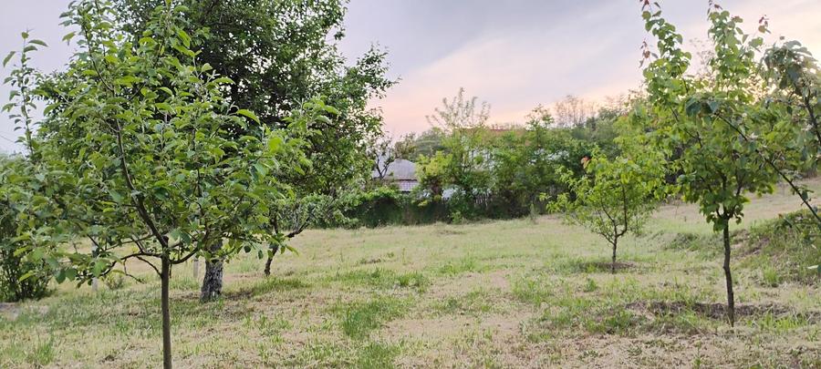 Teren intravilan construcții Somova - 8