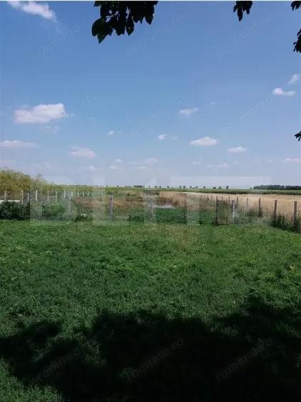 Casa pe parter 50mp utili + teren 4700mp, Bailesti - 5