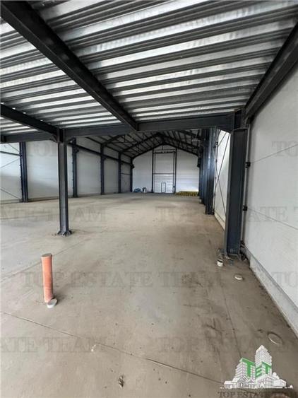 Hala - Maracineni - Buzau - vanzare - 7