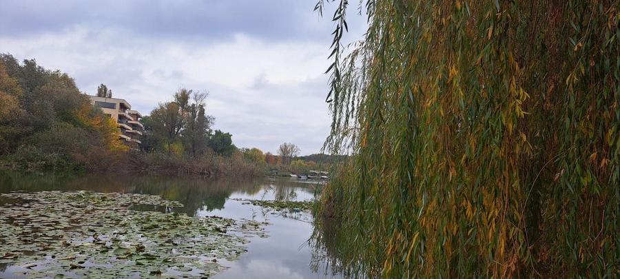 OAZA DE LINISTE SI RAFINAMENT LA MALUL LACULUI - 8