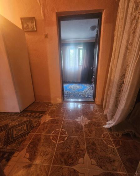 CASA P+M , 150 mp, TEREN 3000 MP ,FILIASI( FRATOSTITA) , COM - 31