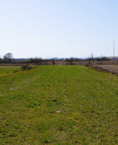 Teren intravilan - Comuna Recea, 2 km de Baia Mare, direct proprietar - 4