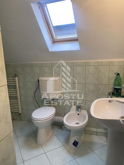 Casa individuala in Remetea Mare cu 1219 mp de teren - 5