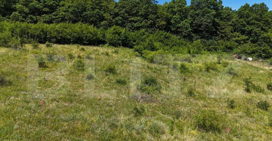 OPORTUNITATE! Teren intravilan 700 mp, Chinteni - 1