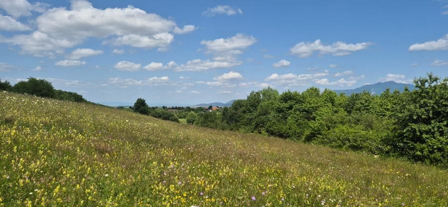 Teren Tohan parcelat in zona pitoreasca - 8
