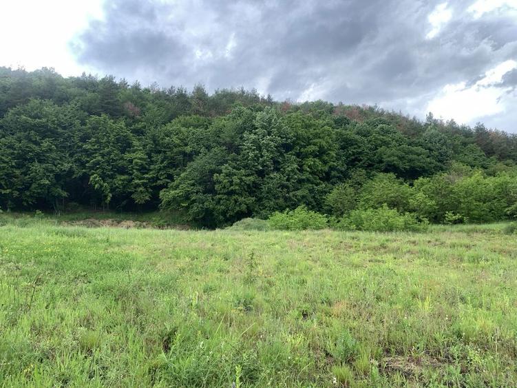 Teren pensiune, casa. de vacanta Maracineni - 3