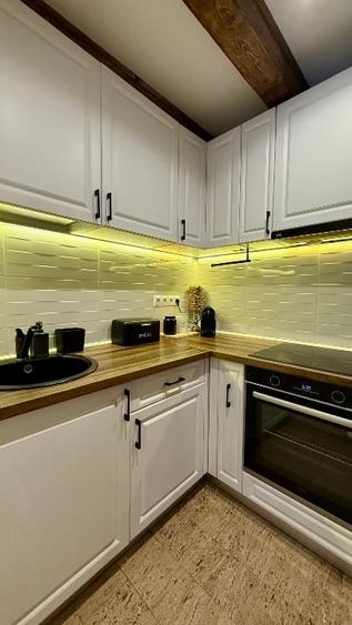 Casa - Apartament de inchiriat ultracentral - Pietonala N Balcescu - 2