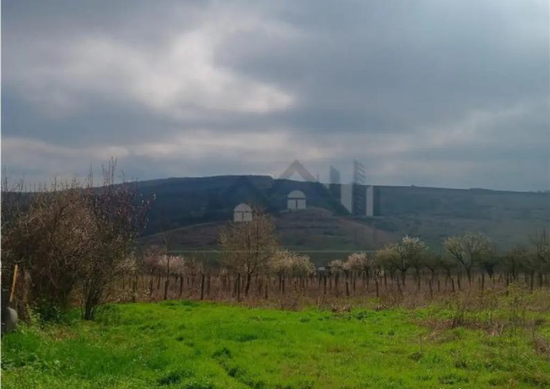 Aroneanu - Dorobant TEREN 46000mp PUZ realizat 59 de case la - 2