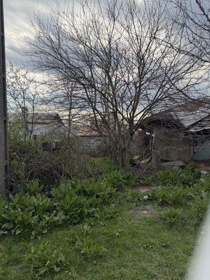 15000 negociabil - 8