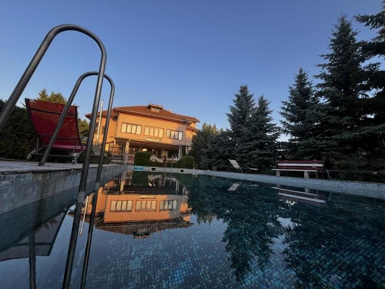 Vila cu piscina - 15