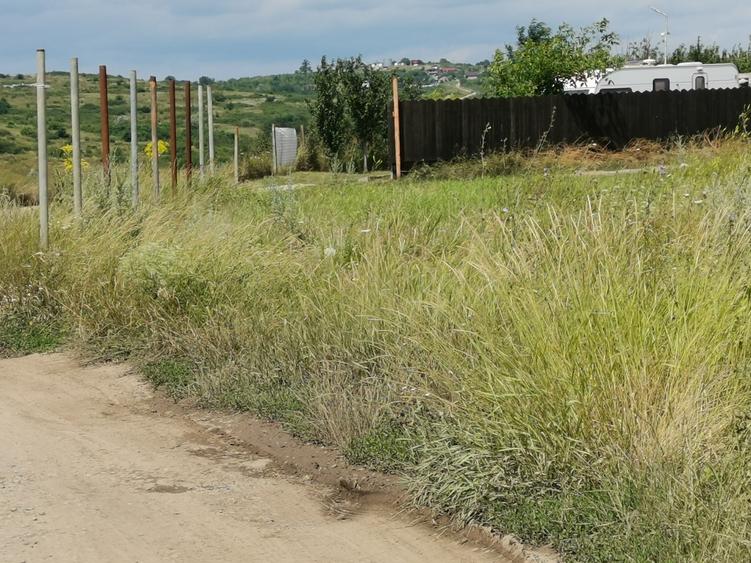 BUCIUM , 6 KM DIN IASI , teren perfect plan , 99.999 % acces pe asfalt - 3