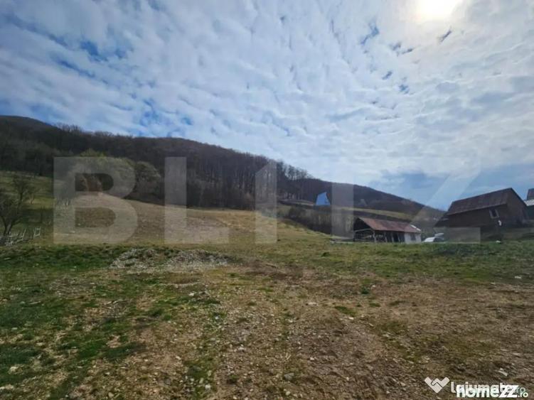 Teren intravilan generos de 4000 mp, cu priveli?te montana - 7