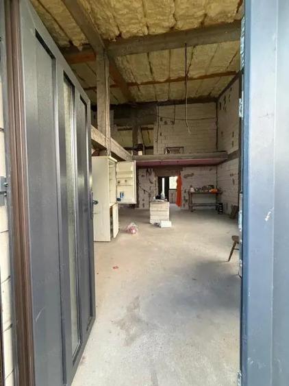 Casa , p+1 , CONSTRUCTIE noua , PIELESTI , TEREN 1000 MP - 3