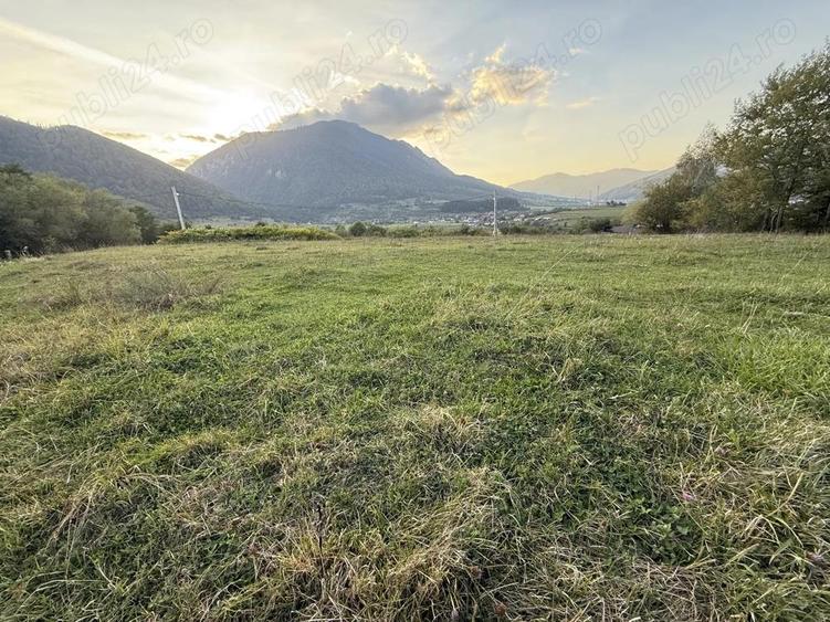 Teren intravilan 500 sau 1000 mp Bran-Tohanita la dum asfaltat - 6