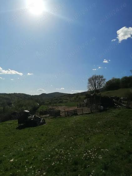 Teren de 4100 mp, în Ampoița