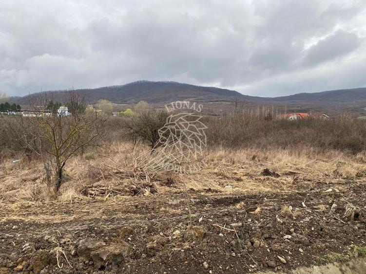 Teren Construcții intravilan de 12719 mp, în Crainimăt