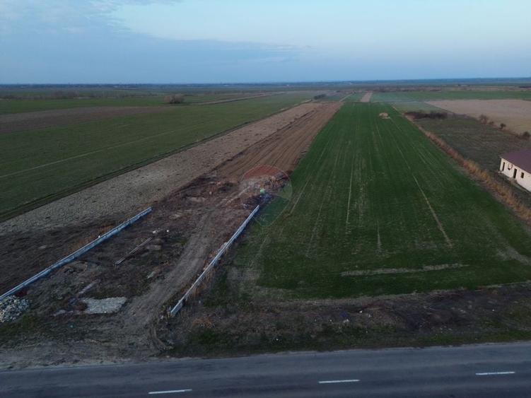 Teren Construcții intravilan de 12360 mp, în Boțârlău
