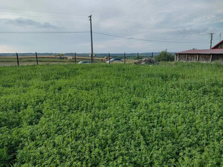 Teren de 2800 mp, în Dumbrava