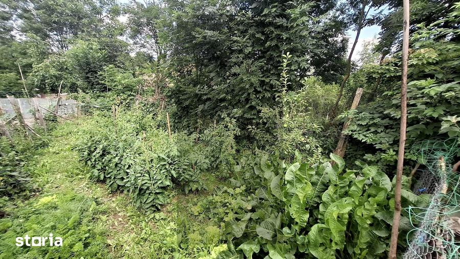 Casă cu 2 camere cu Teren 4000 Mp în Iara