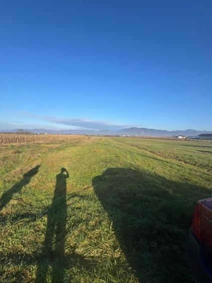 Teren Construcții intravilan de 1800 mp, în Mocira