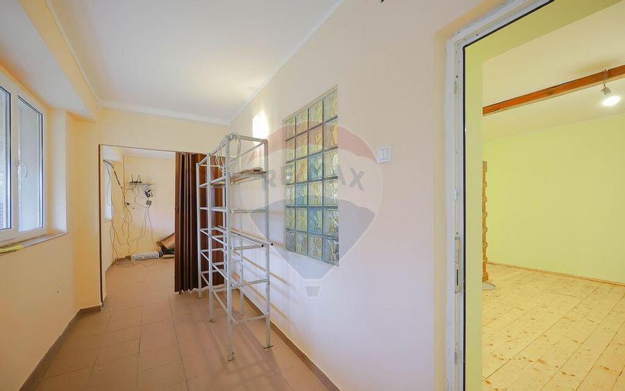 Casa cu teren de 3474 mp in Sannicolau Roman - 13