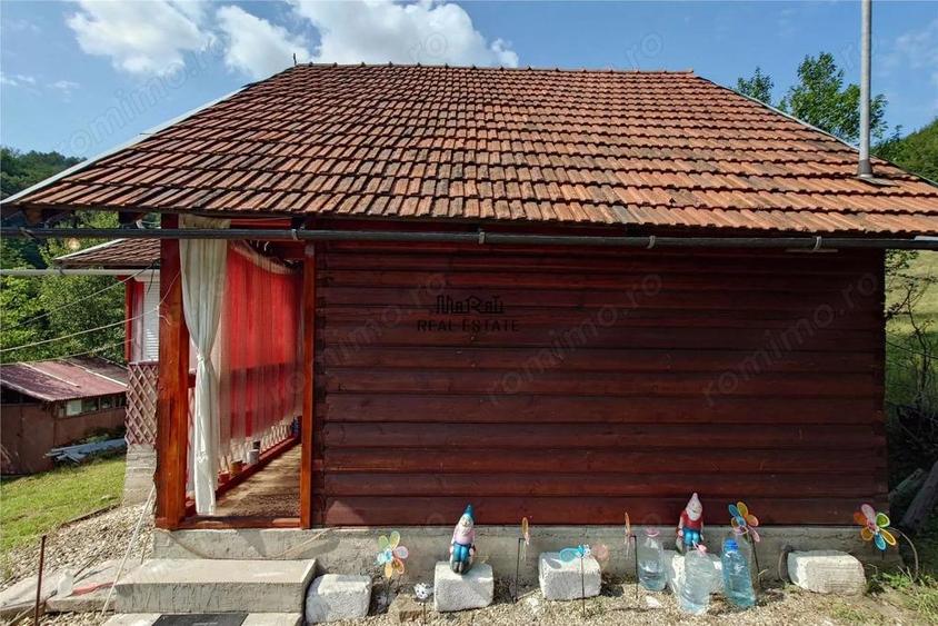 Cabana, anexe si 2000 mp teren intravilan in Taratel, Brad - 11