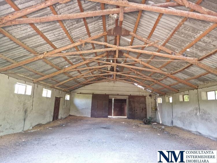 Ideal angrosiștilor din centrele comerciale,  Europa, Dragonul Rosu, Doraly - 5