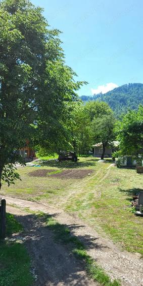 Teren si casa Sat Tarcau zona Garii - 6