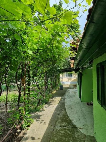 Proprietar unic vând direct, casă/gospodărie completă în comuna Adâncata, IL - 11