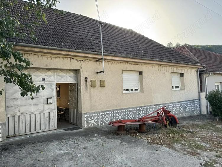 Vand casa Moniom Caras-Severin la 3 km de Resita - 3