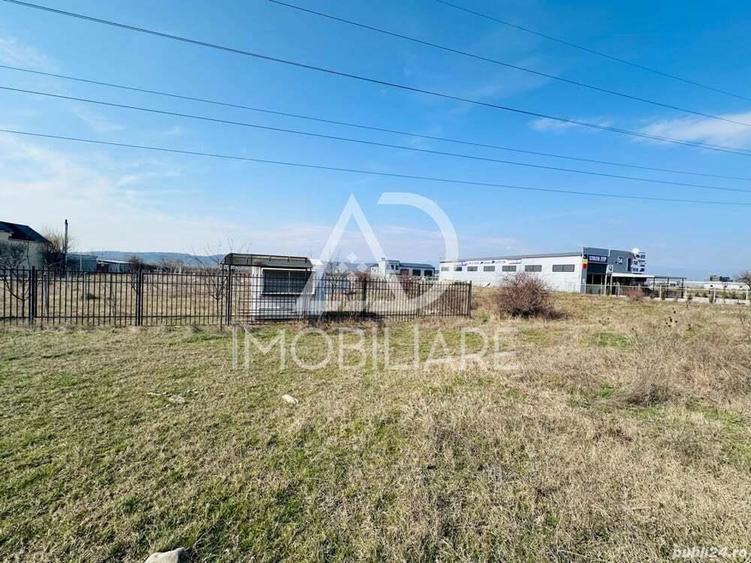 Vanzare teren comercial industrial situat pe strada Narciselor , Targu-Jiu - 9