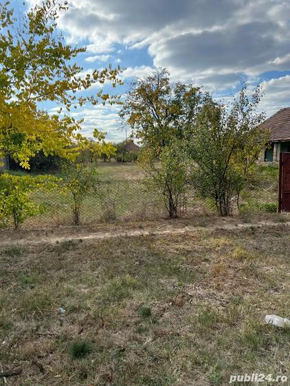 casa cu teren Hodoni - 3