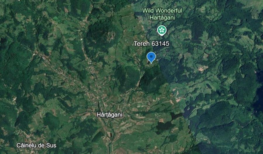 Hărțagani, teren intravilan 8500 m2, acte, superb, liniste, eco - 6