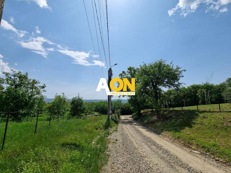 De vanzare 998 mp teren intravilan, Cetate - 3