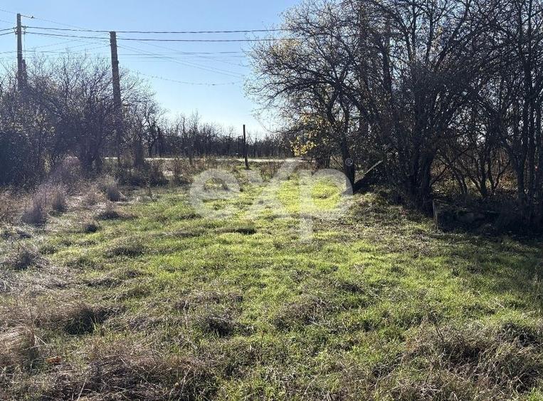 Teren langa padure, liniste, aer curat la 11 km de Pitesti - 1