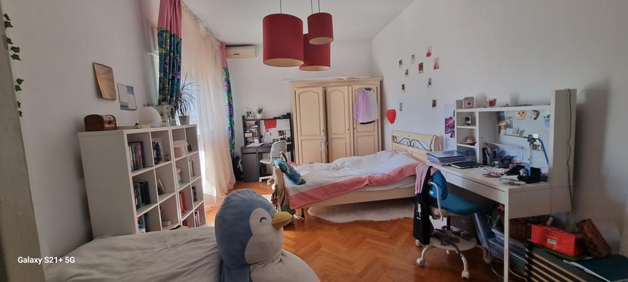 Dacia - Dumbrava Rosie ( Parc Ioanid ) - 2