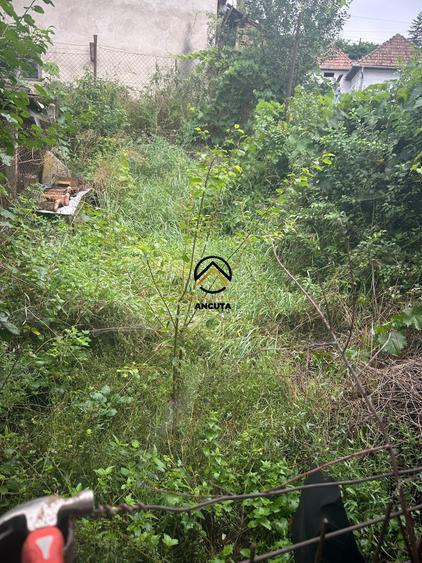 196492-Casa de vanzare in Ludus, Jud.Mures - 7