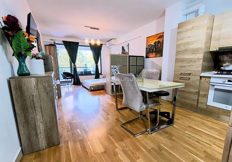 Iancu Nicolae- Gradina Zoologica- Jolie Ville- Loc parcare Iancu Nicolae- Gradina Zoologica- Jolie Ville- Loc parcare