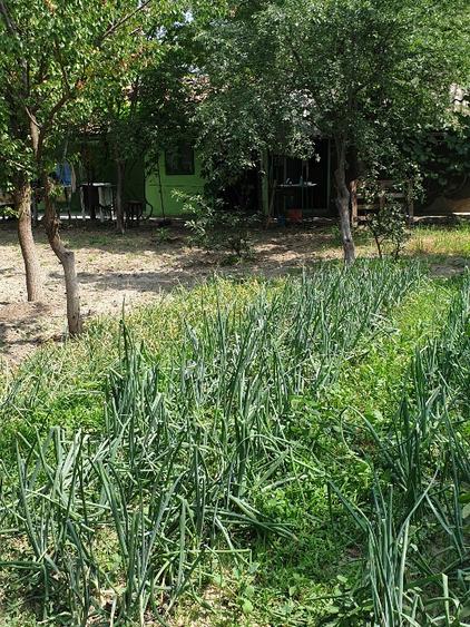 Proprietar unic vând direct, casă/gospodărie completă în comuna Adâncata, IL - 7