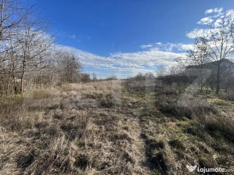 Teren 1100/2200 mp, zona Cosoveni-Profi - 1