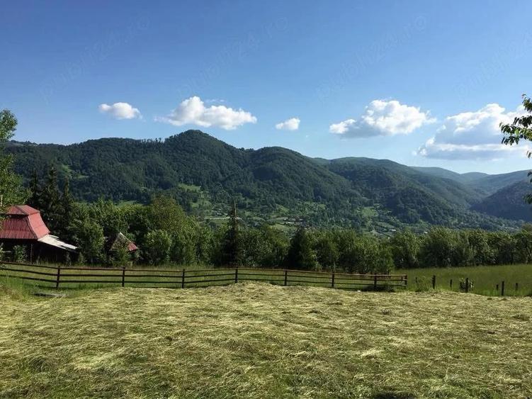 Vand Cabana cu 4 camere in Muntii Calimani - 2