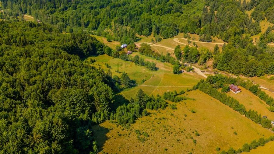 Teren 20000 mp, sat Dalghiu, com Vama Buzaului - 11