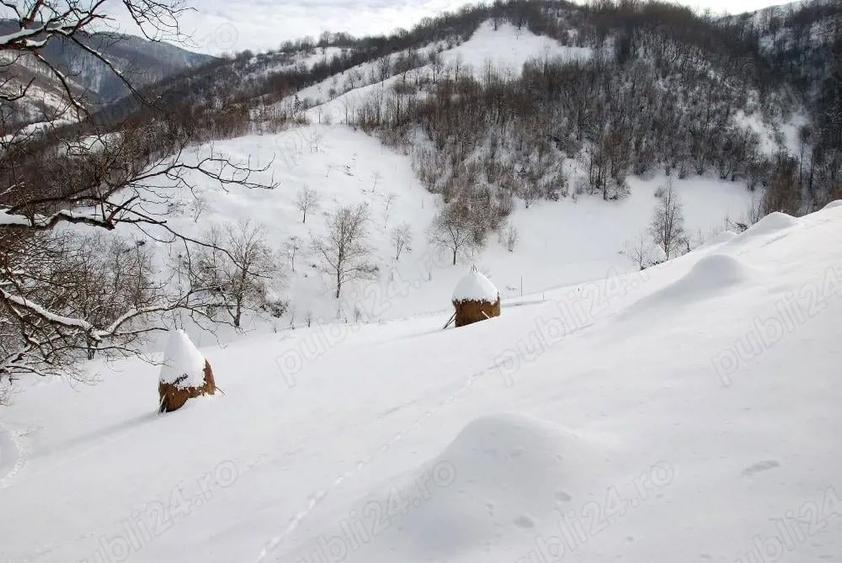 Vand Casa Poiana Stampei - 3