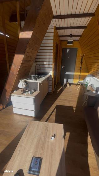 INVESTITIE - banii inapoi in 5 ani /Cabana A frame/Gaz.Apa.Canal/400m2 - 13