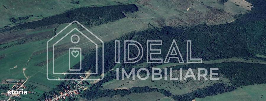 Padure matura 12,71 ha - Mag, jud. Sibiu - potential exploatare 2025 - 2