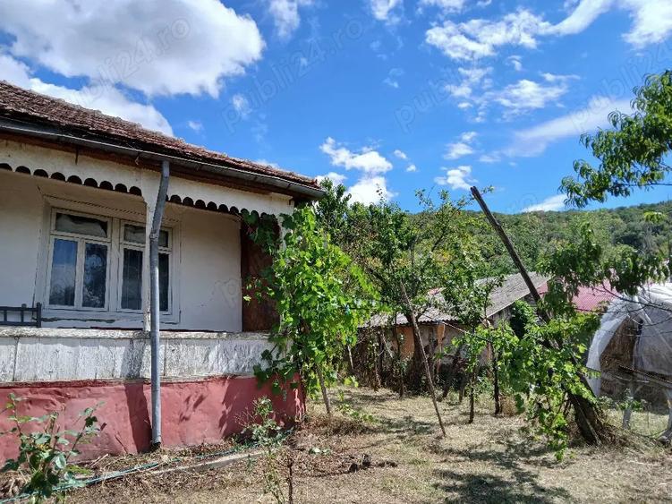 Casa de vanzare - 6