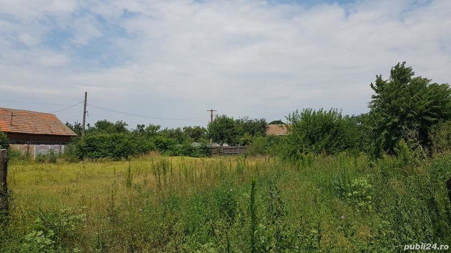 Vand casa in Apele Vii - 7