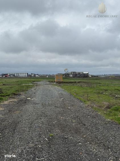 Teren Frumusani Gaz- Curent 400 mp | D.N. 4 - 5